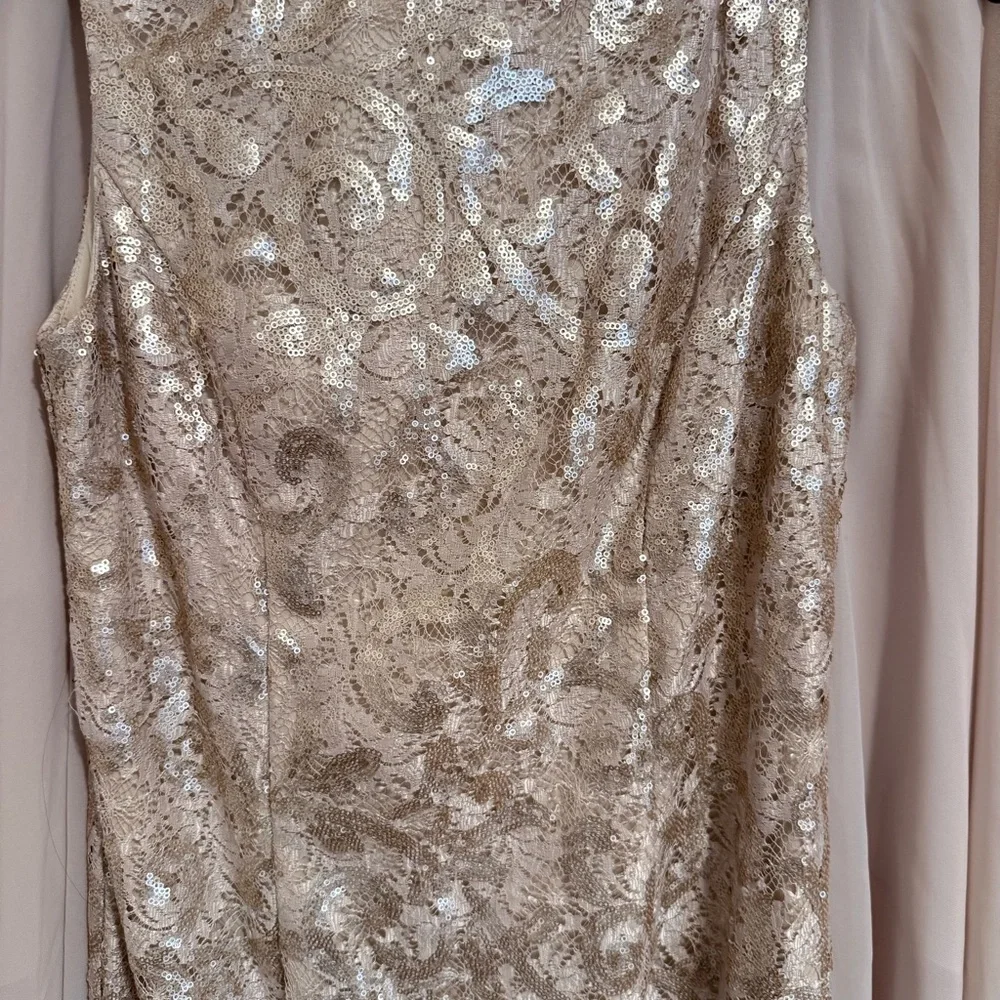 Alex Evenings Champagne Sequin Lace Chiffon Cape Sheath Dress size 6